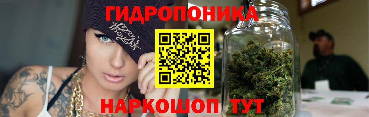 Бошки Шишки LSD WEED  Шишки марихуана план  Вход с VPN  Кунгур 